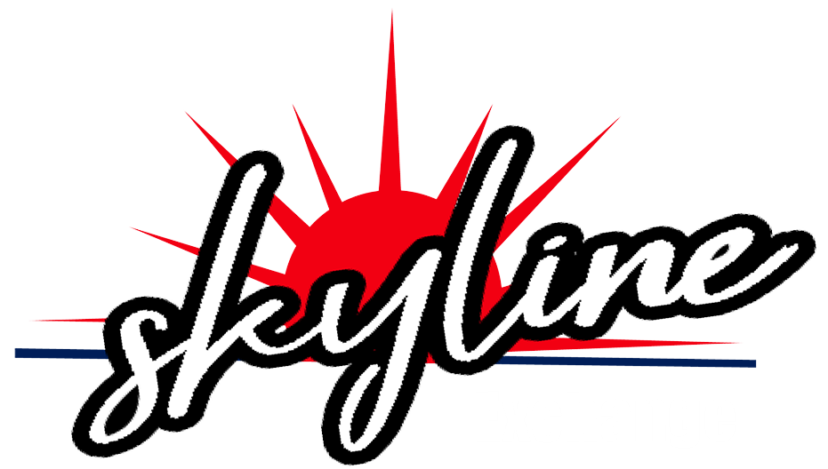 skylinebook.in
